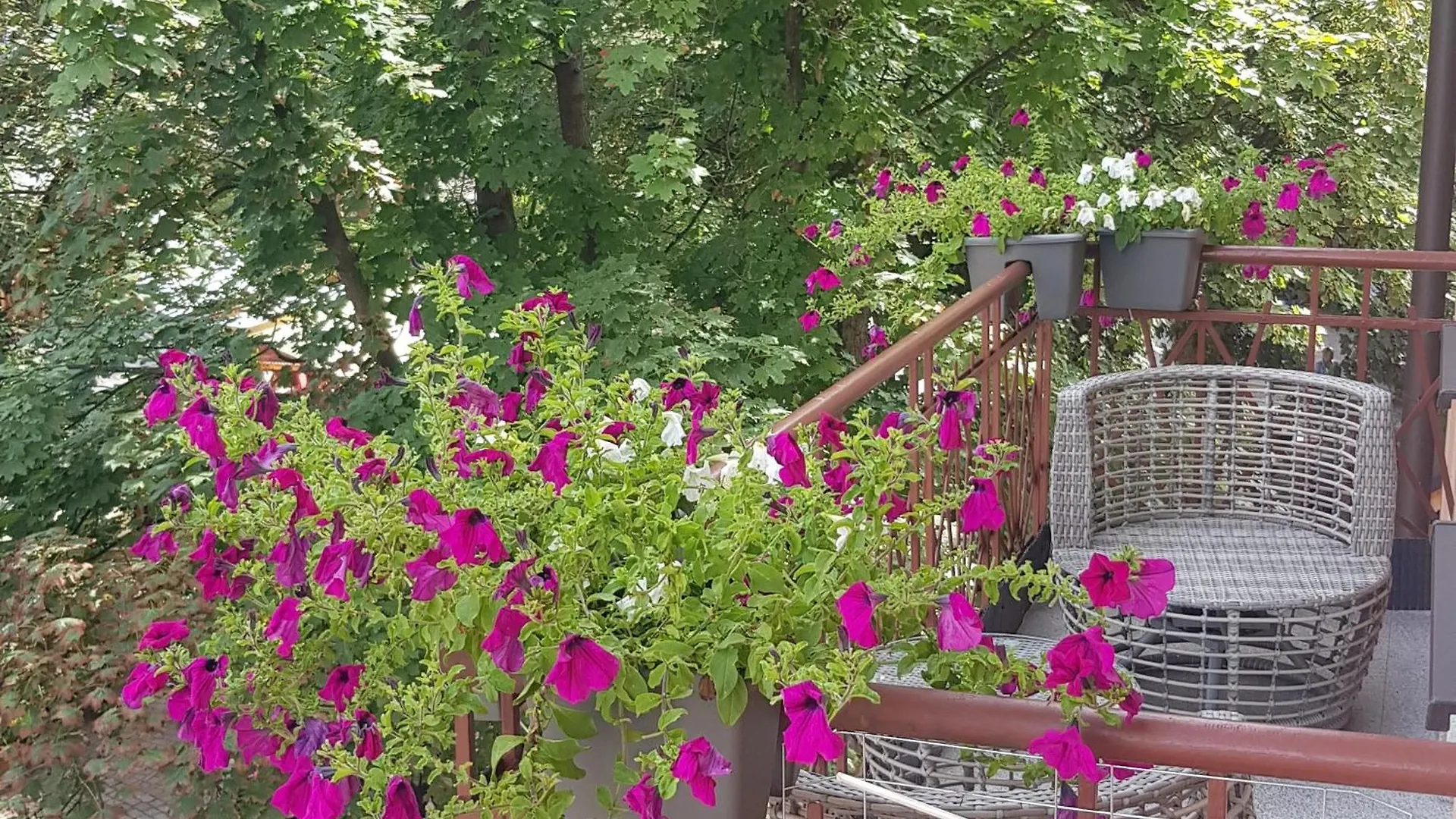 Prestige Apartament Przy Dolinie Zakopane