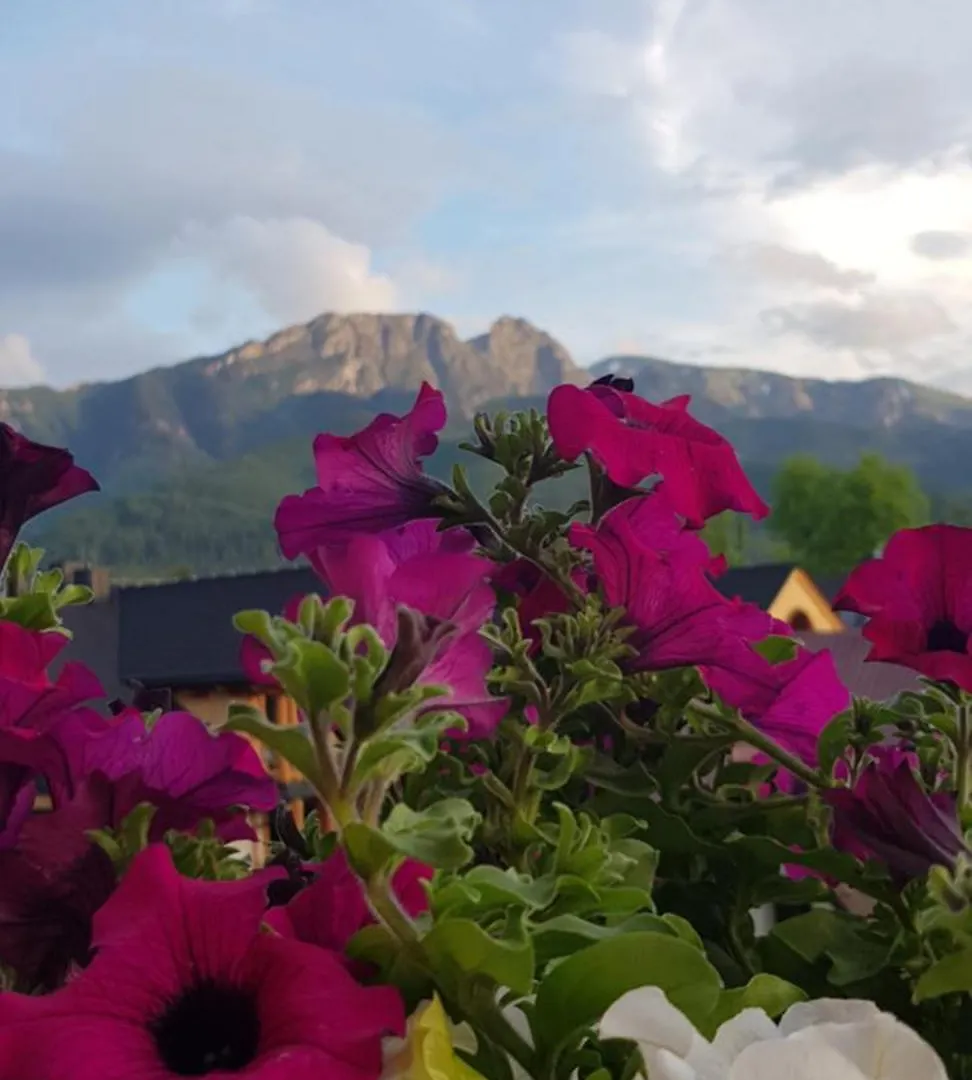 Apartprestige Krupowki Z Widokiem Na Giewont Lub Krupowki Ζακοπάνε 0*,  Πολωνία